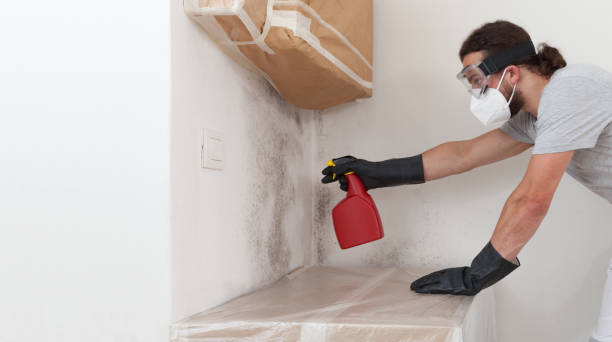 Professional Attic Mold Removal technician working in Brookside, NJ