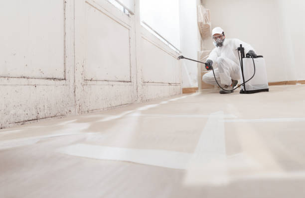 24/7 Emergency Attic Mold Removal experts in Brookside, NJ
